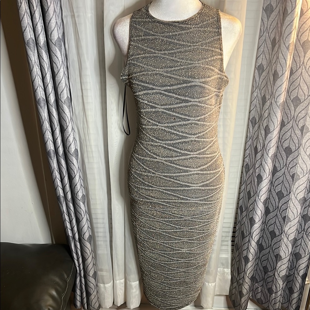 Windsor Glittering Gray Midi Dress